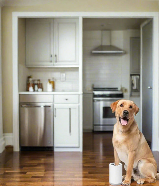 Dog Paw Cleaner