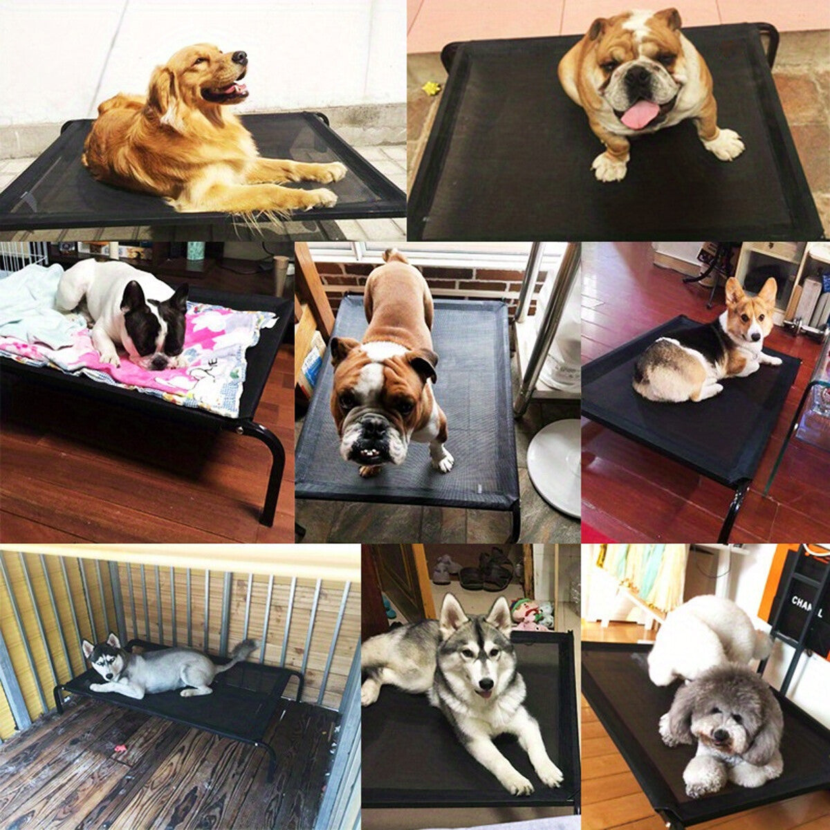 Heavy Duty Pet Raised Bed Elevated Trampoline Hammock Cat Dog Raised Deluxe AU